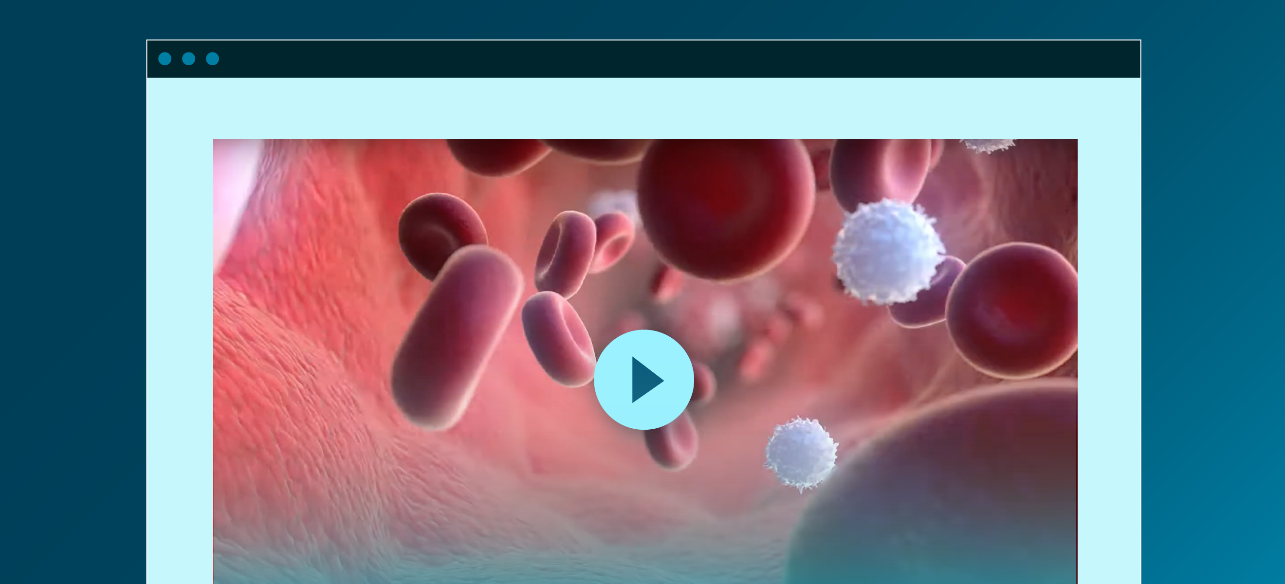 Demo-MedicalAnimations-FeaturedImage%402x.png